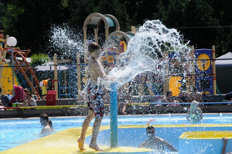 Vakantiepark Wilhelm Tell Superieur Chalet Opglabbeek Zewnętrze zdjęcie