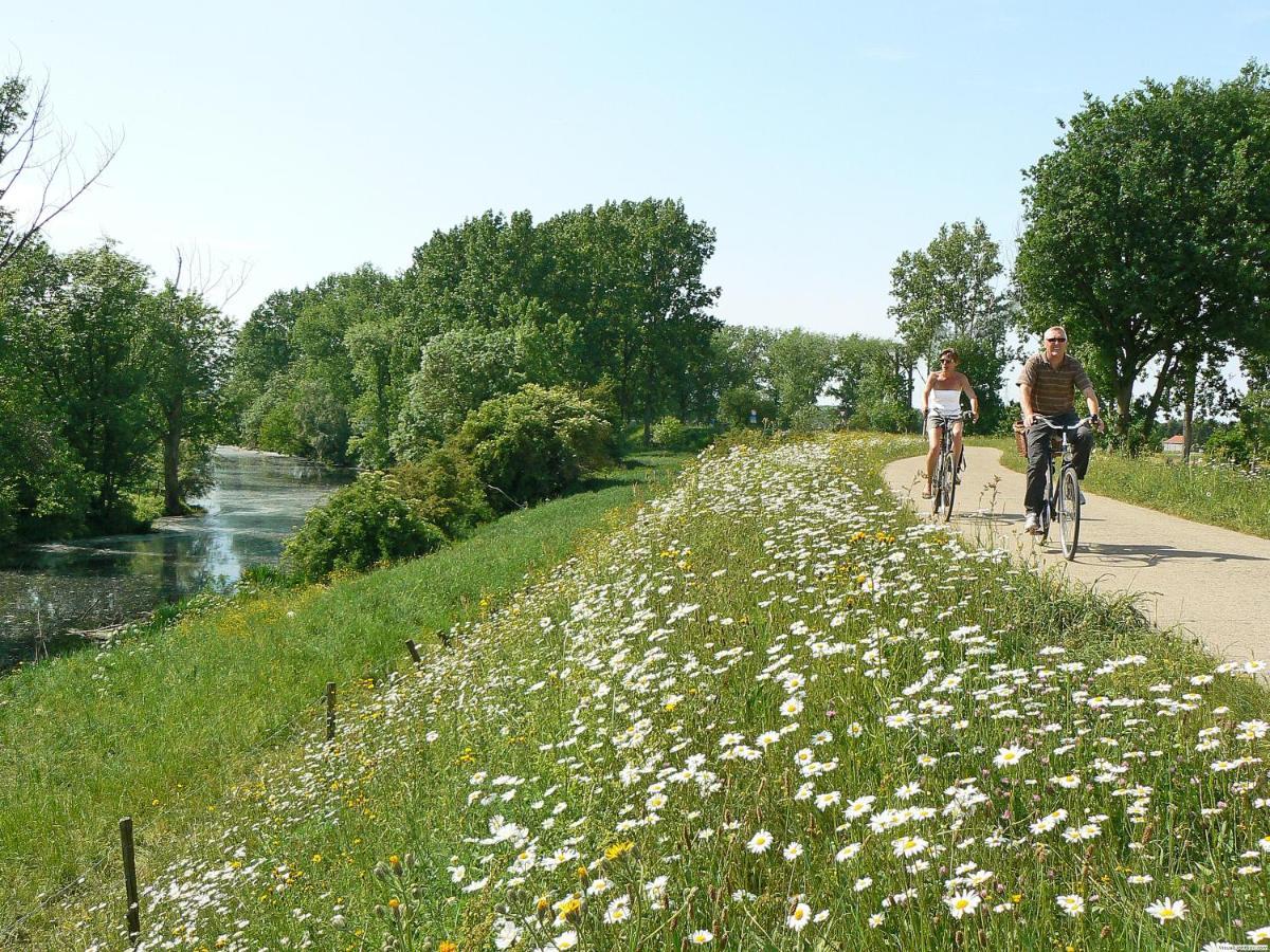 Vakantiepark Wilhelm Tell Superieur Chalet Opglabbeek Zewnętrze zdjęcie